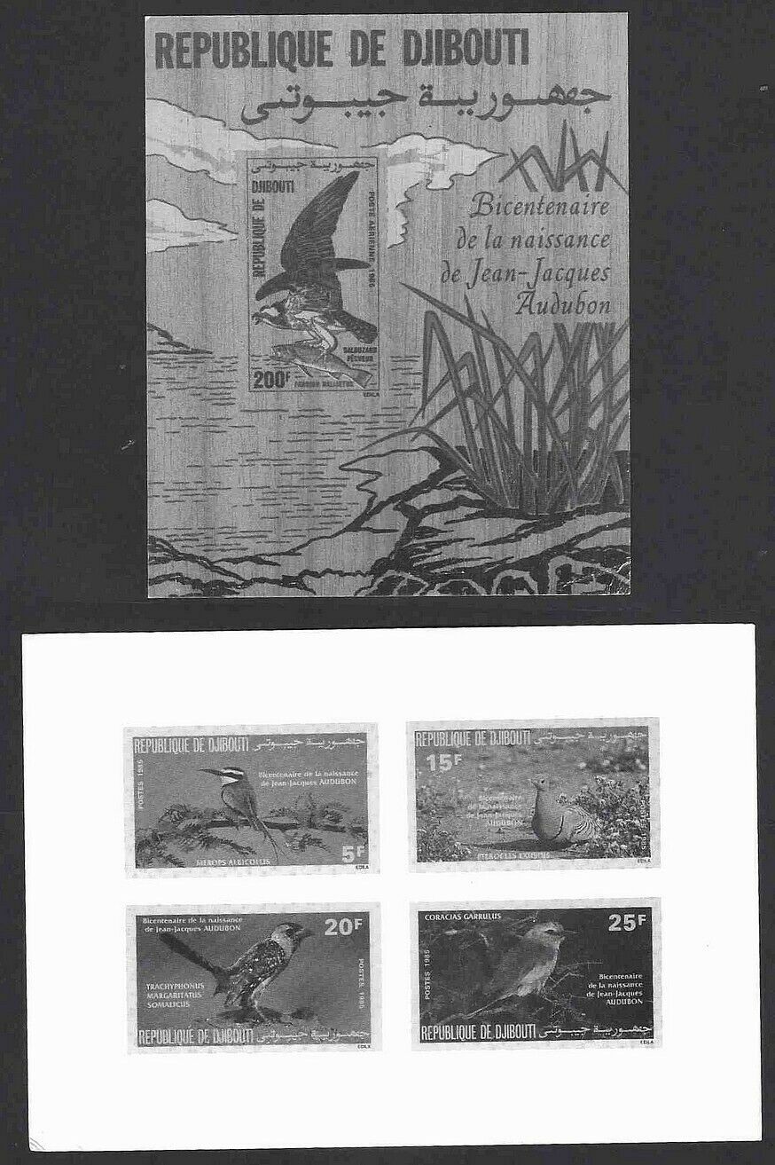 Djibouti 593-593a 1985 Audubon Birds 4v & Miniature Sheet Photographic Proofs X2