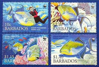 N067 Barbados 2006 Wwf Queen Trigger Fish Mint Nh