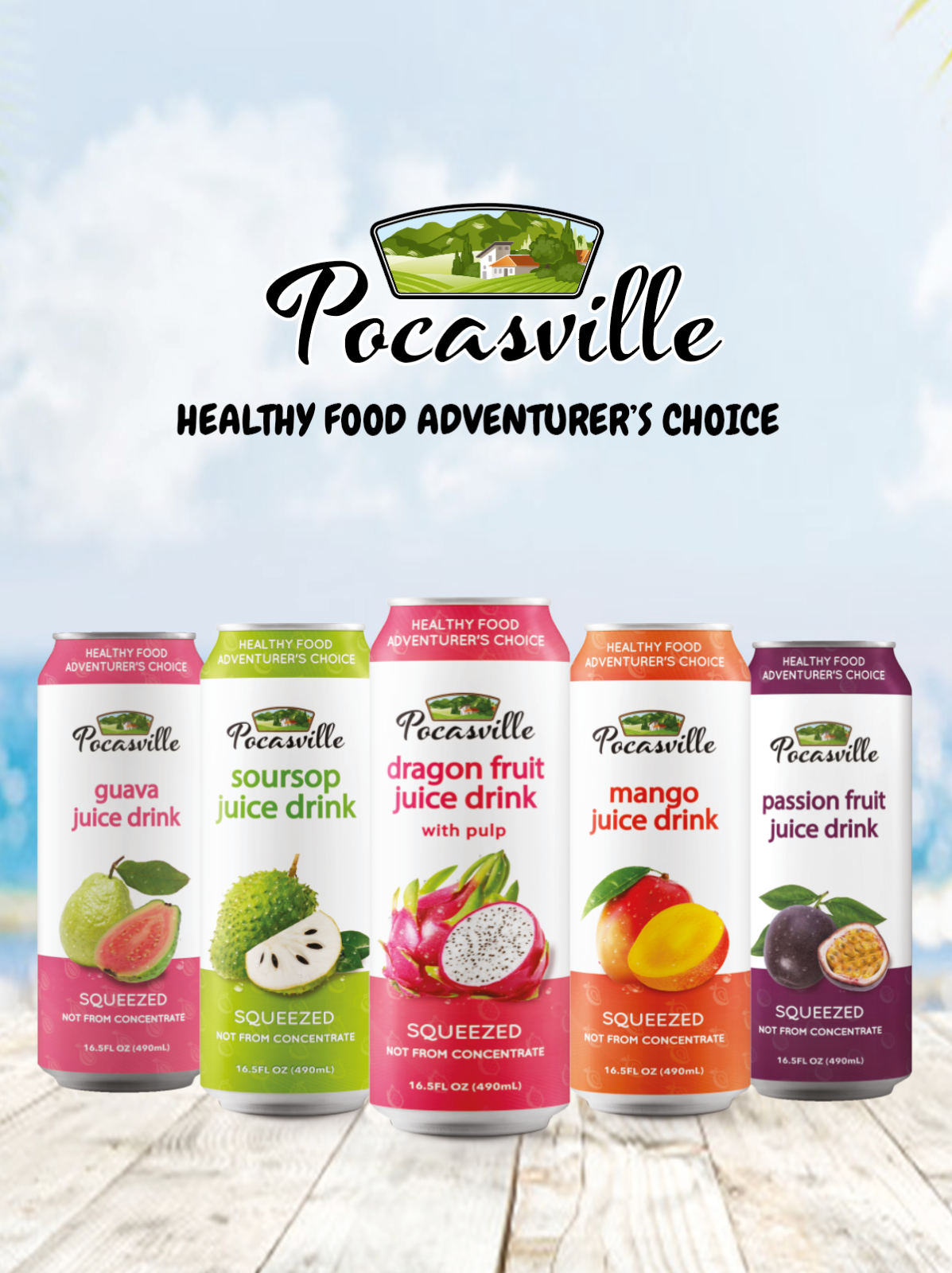 Pocasville Fruit Can Juices (pack Of 12)